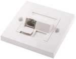 NET-EBPLATE-4X4C Angled CAT6 Face Plate With Stp Shield