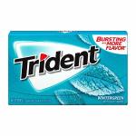 Trident Gum Wintergreen 14 Pieces