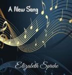 A New Song Hardcover