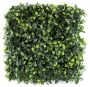 Artificial Uv Protected Premium Hedge Ivy Tea Leaf - 1MX1M
