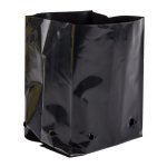 Rje Plant 125X100X225MM GF4 2.5L 25 P pack
