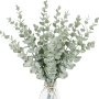 18pcs Eucalyptus Stems Artificial Green Eucalyptus Stems Eucalyptus Leaves Decor Eucalyptus Branches Fake Eucalyptus With Fake Leaves 38.1 Cm Faux Eucalyptus Stem For Vase