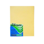 A4 Pastel Board 100 Buff