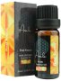 Essential Oil Blend - Find Focus