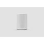 Sonos Era 100 Bluetooth Smart Wifi Speaker