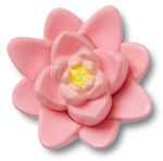 Pink Lotus Jibbitz - Multi Osfa