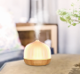 Polar Aroma Diffuser