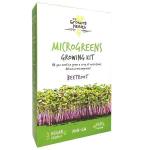 My Growing Health Beetroot Microgreen Kit