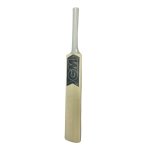 Gunn & Moore MINI Autograph Cricket Bat
