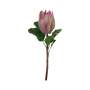 Protea Stem 65CM