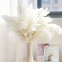 10PCS 23IN/60CM Tall Fluffy Pampas Grass White Pampas Bouquet Wedding Flowers Christmas Decor Party Decor Home Decor Processed And Free Of Pest Risk