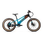 Racing Charge Jr. 20" 2023