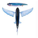 Nomad Flying Fish 140 5.5" - Electric - Basil Manning