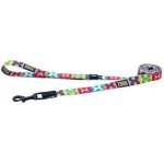Rogz Fusion Classic Large Lead - Popart Yellow Waggs Online Pet Shop