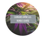 Cannabis Grow 101 Bundle Course - 7TH March 2024