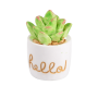 2 Pack - Decorative Succulent Figurine Square Pot Design - Multi-colour