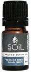 Frankincense Essential Oil 5ML