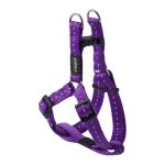 Rogz Utility Small 11mm Nitelife Step-in Dog Harness Purple Reflective