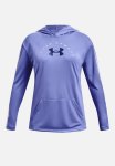 Under Armour Tech Graphic Hoodie - Purple
