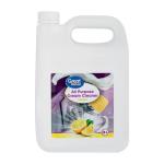All Purpose Cleaner Lemon 5 L