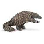 Pangolin