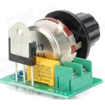 Thyristor Power Electronic Voltage Regulator - 3000W