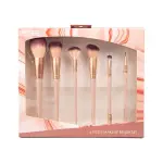 Eyeshadow Brush Set Metallic Rose 6PCS