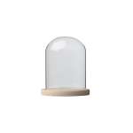 Glass Dome With Pine Base - 15X20CM