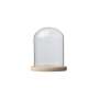 Glass Dome With Pine Base - 15X20CM
