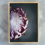 King On Gray 2 Art Print - A4 Framed Canvas With Natural Wood Frame