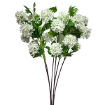 - Snowball - Cream Pack Of 6 Stems - 77CM