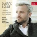 Dvork: Songs Cd