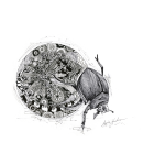 Db Ls Art Print - A5