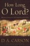 How Long O Lord? - Reflections On Suffering And Evil   Paperback 2ND Edition