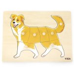 9 Pce Rgs Montesorri Dog Peg Puzzle