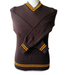Prof Brown And Gold Striped Long Sleeve Jersey- Unisex