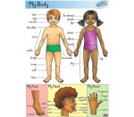 My Body Poster-ns