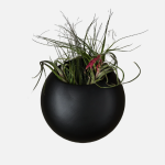 Pod Wall Planter - Black - Small