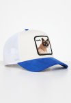 Goorin V2 Cool Cat S24 - Blue & Cream