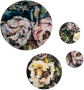 Food Cover Artist Range - Kim Black Botanical