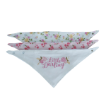 Headband Bandana Bib & Sock Set 5 Piece White & Pink