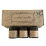 3 Piece Scented Soy Candle Gift Set