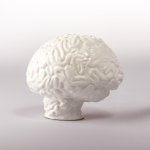 Creative Hub Brain Objet D'art - Gloss White