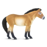 Przewalskis Horse