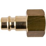 Gav Connector Brass 3 8"F