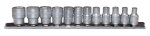 Teng Tools 12PC 1 4" Drive Socket Set - Rail