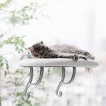 Universal Mount Kitty Sill