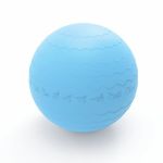 Pure 65CM Gym Ball