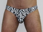 Toolbox Zebra Printed G-string