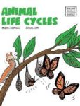 Animal Life Cycles Hardcover